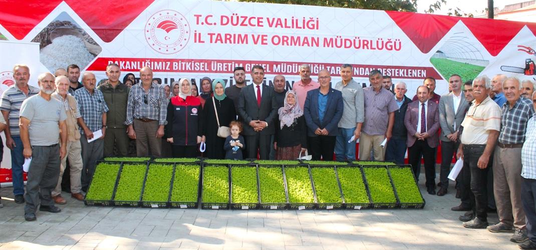 MARUL ÜRETİMİNİ GELİŞTİRME PROJESİ İLE 250 BİN MARUL FİDESİ TOPRAKLA BULUŞUYOR