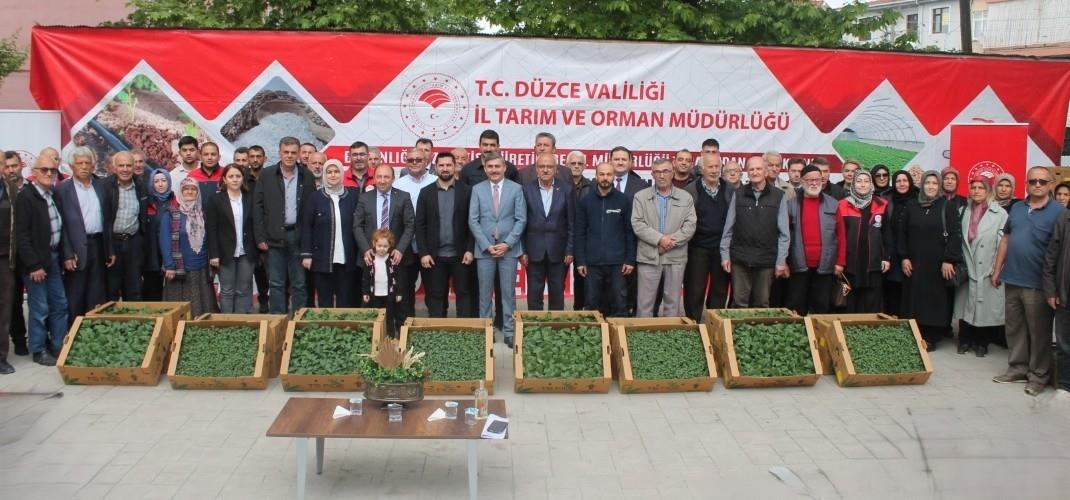 DÜZCE’DE ATIL TARIM ARAZİLERİ SEBZE FİDELERİNE KAVUŞTU
