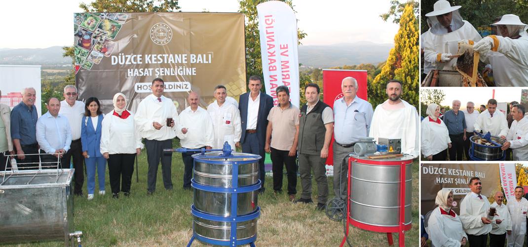 DÜZCE'DE KESTANE BALI HASAT ŞENLİĞİ DÜZENLENDİ