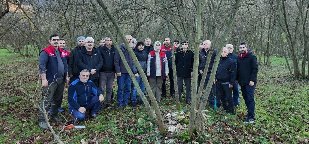 DÜZCE’DE FINDIKTA VERİM VE KALİTE İÇİN BUDAMA EĞİTİMLERİ SÜRÜYOR