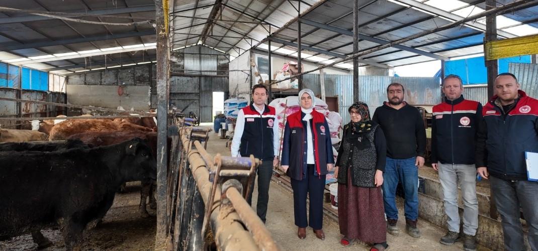 DÜZCE’DE “KIRSALDA BEREKET, HAYVANCILIĞA DESTEK PROJESİ” MEYVELERİNİ VERMEYE BAŞLADI