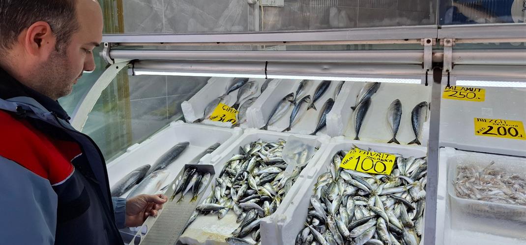 DÜZCE’DE AV YASAĞI ÖNCESİ BALIK SATIŞ YERLERİ VE İÇSULAR DENETLENDİ