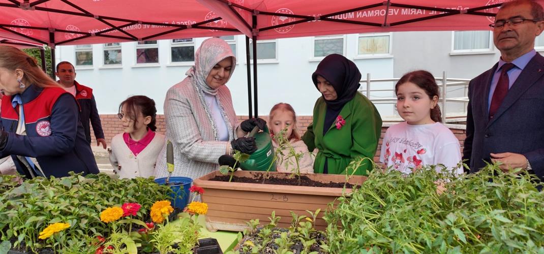 HÜRRİYET İLKOKULU ÖĞRENCİLERİ ATA TOHUMLARINDAN YETİŞTİRİLEN FİDELERİ TOPRAKLA BULUŞTURDU