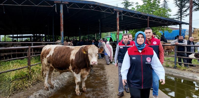 DÜZCE’DE KURBAN BAYRAMI ÖNCESİ HAYVAN PAZARI VE YOL KONTROLLERİ DEVAM EDİYOR